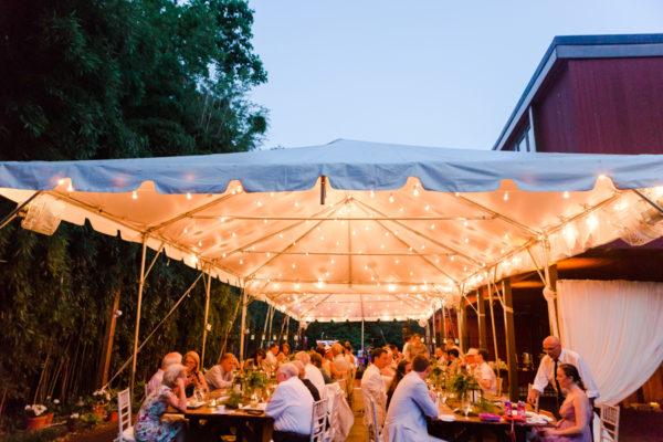 intimate tented Virginia wedding -