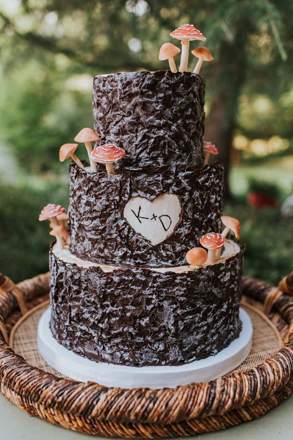 rustic tree bark wedding cake with mushrooms - Backyard wedding reception McLean Virginia