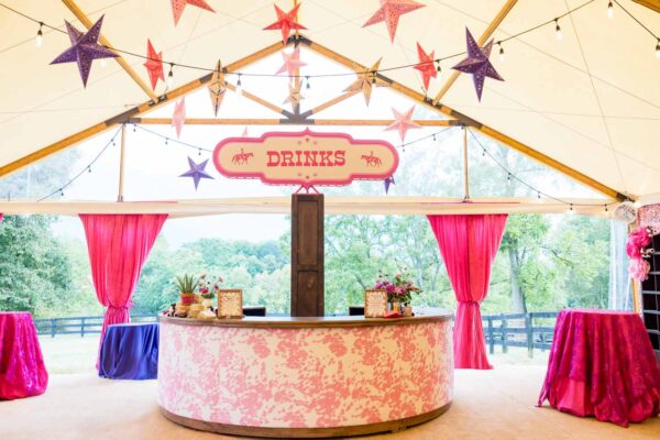Virginia Bat Mitzvah Tent pink glitter cowgirl rodeo - circle bar 