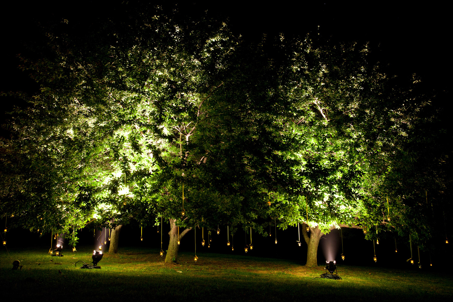 Whimsical event lighting at an outdoor home wedding planned by Bellwether Events, Washington DC